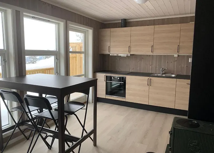 Апартаменты Seljord Apartment