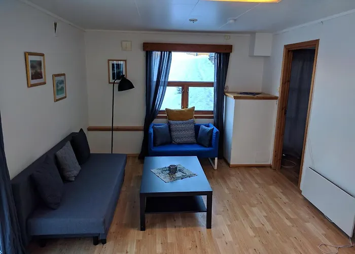 Seljord Apartment *